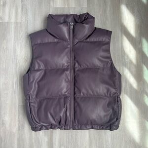 Wilfred Free Aritzia Vista Puffer coat